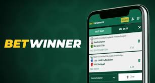 Unleashing Profits with the BetWinner Partners Program