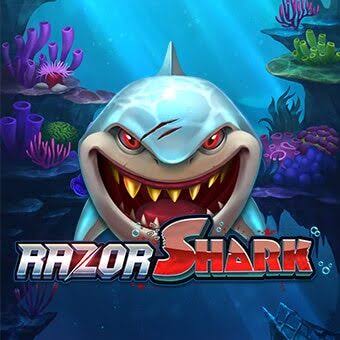 Razor Shark Port Testbericht Razor Shark Port Testbericht